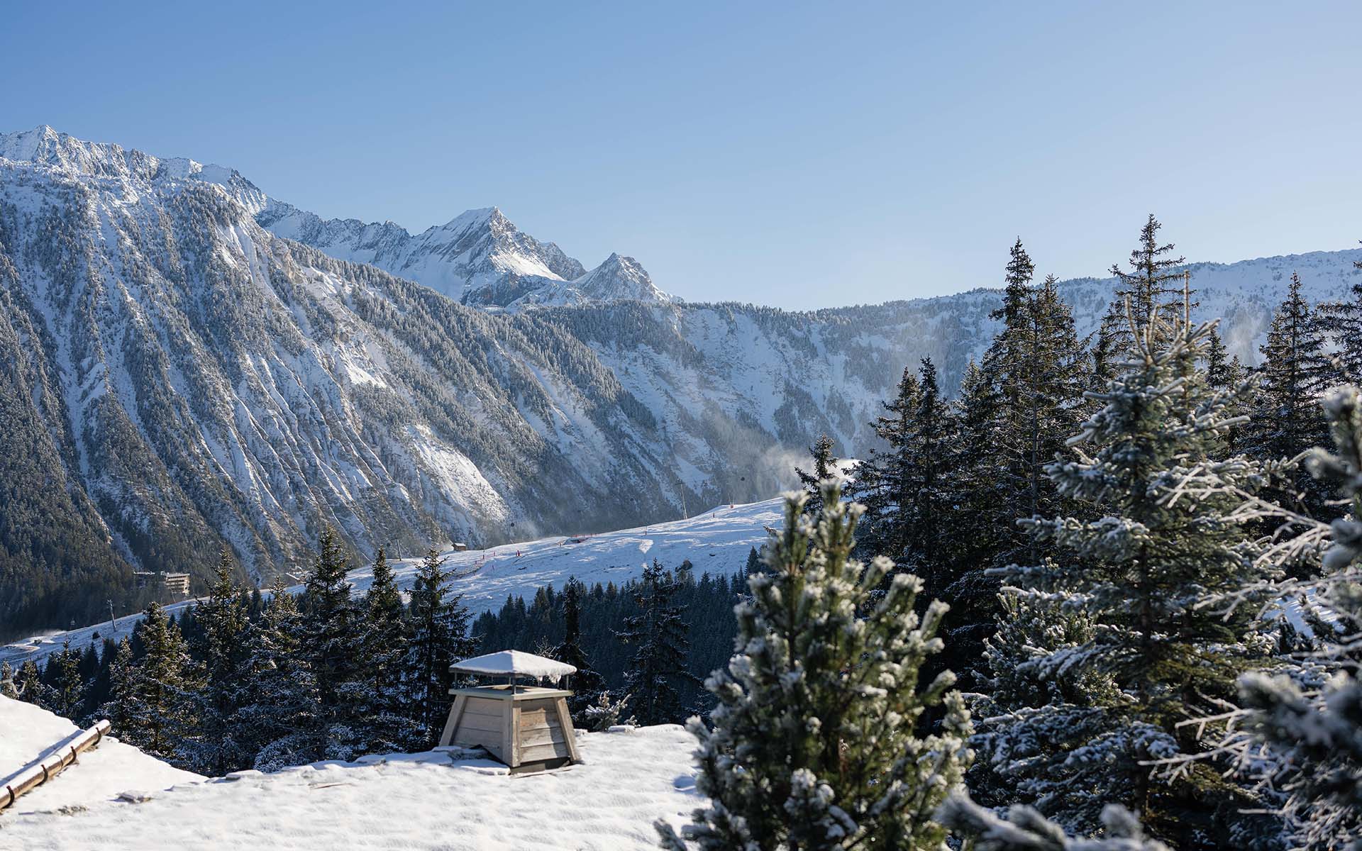 Chalet Abruzzes, Courchevel 1850