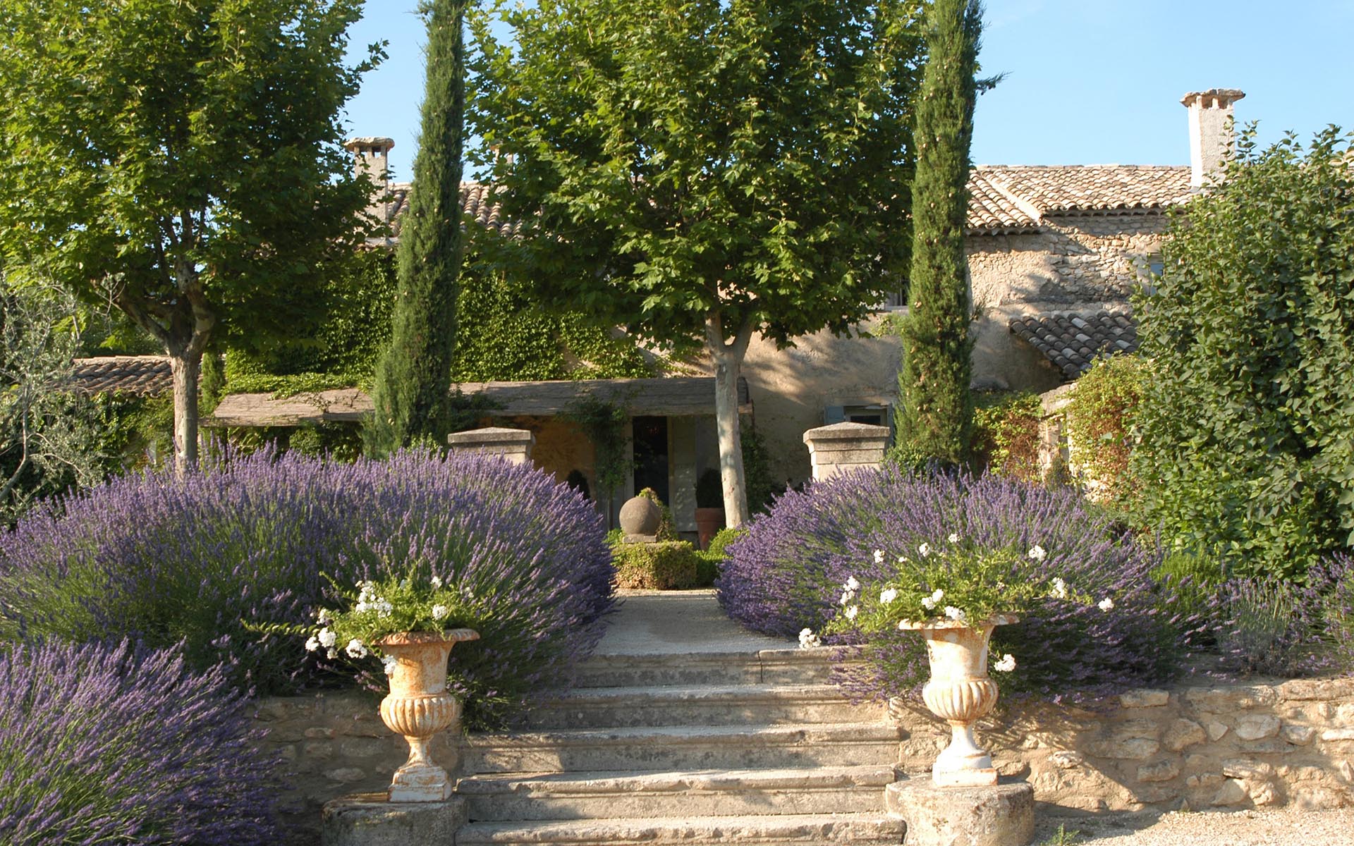 Villa Mimosa, Provence
