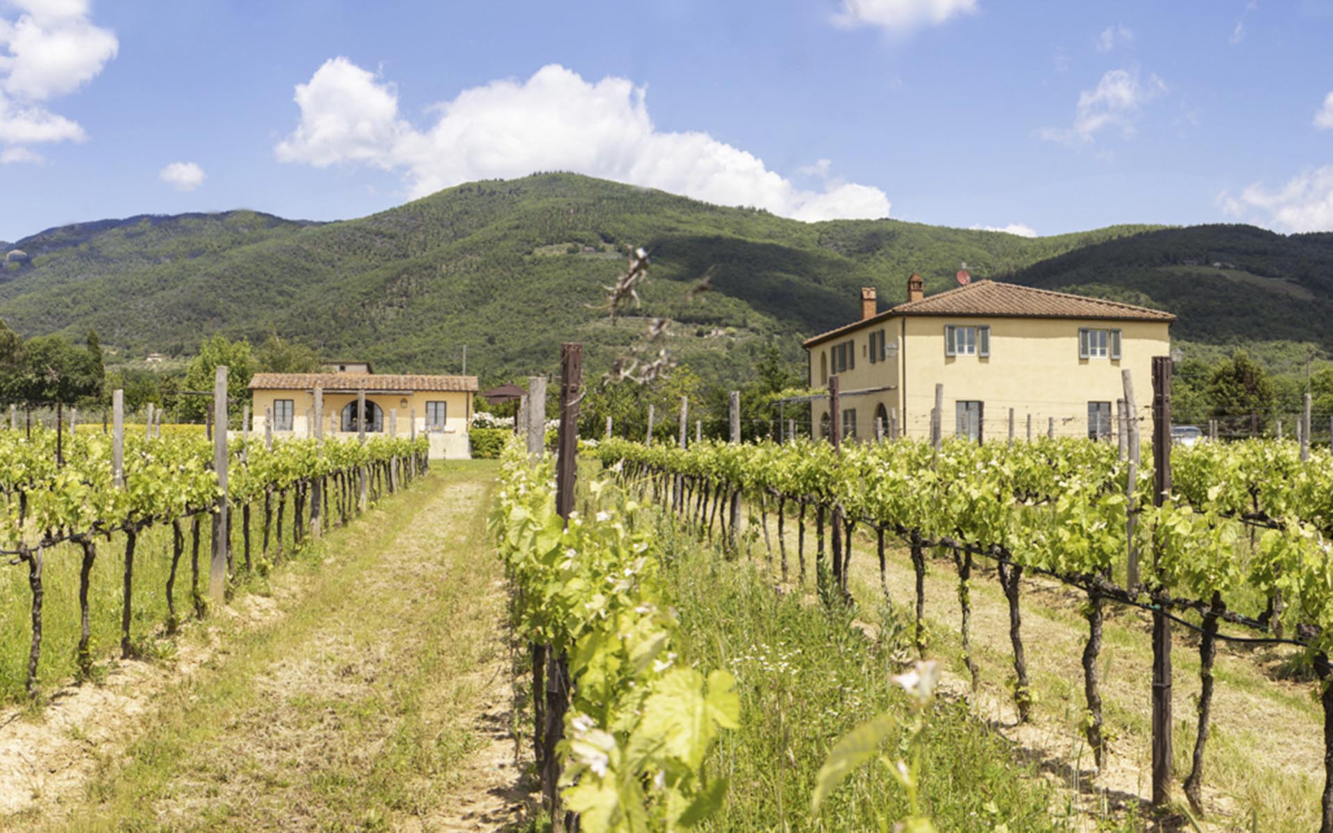 Villa Cassara, Tuscany