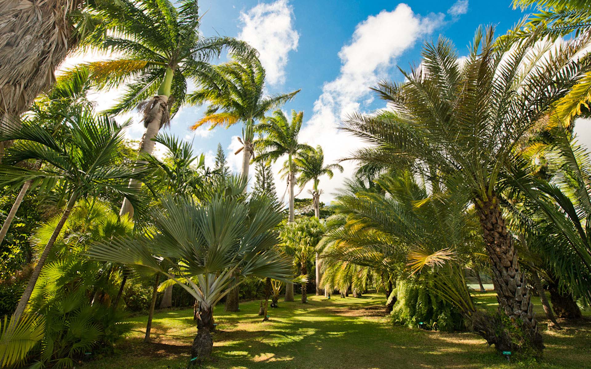 The Mill House, Barbados