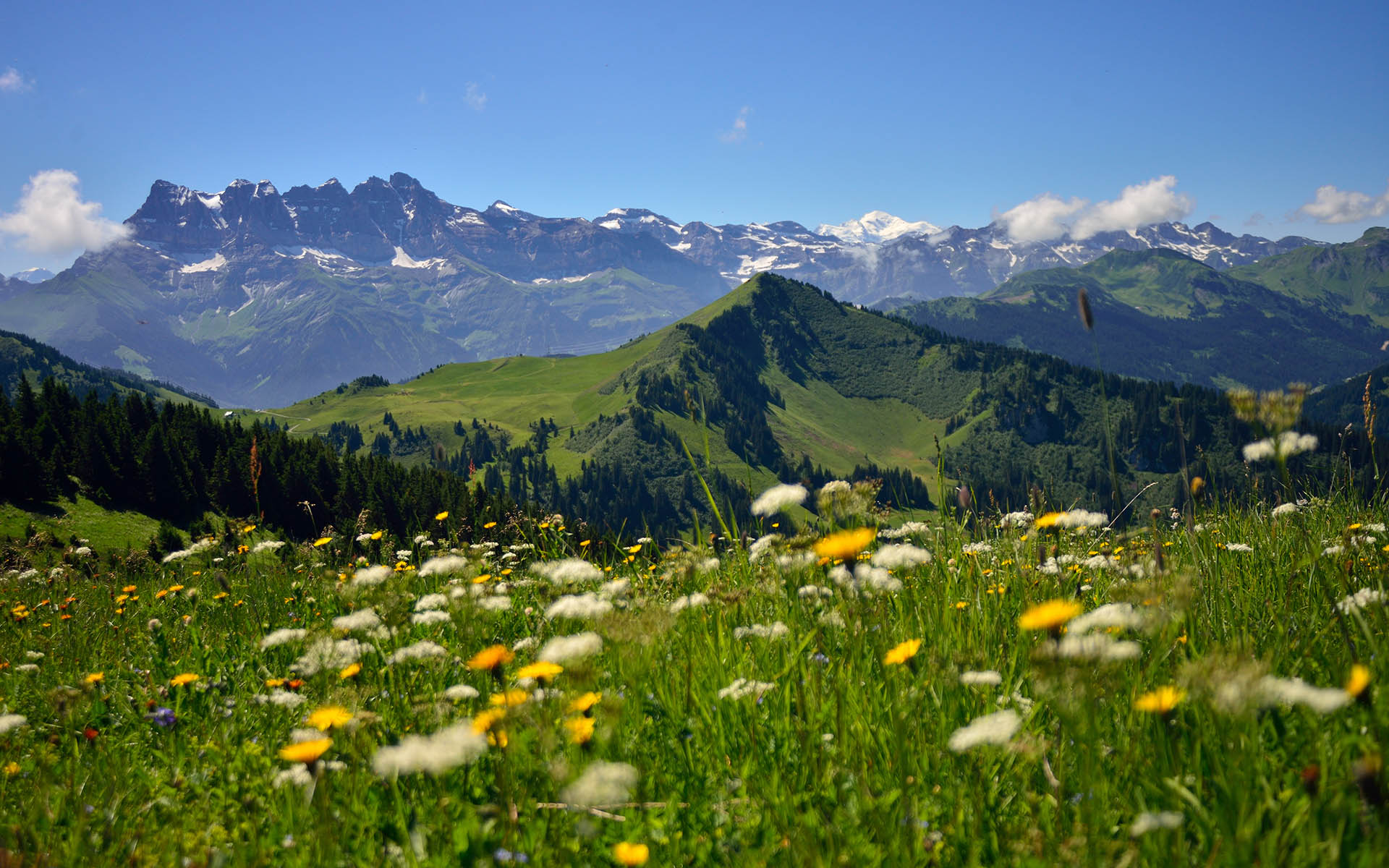 Chalet Cannelle, Chatel