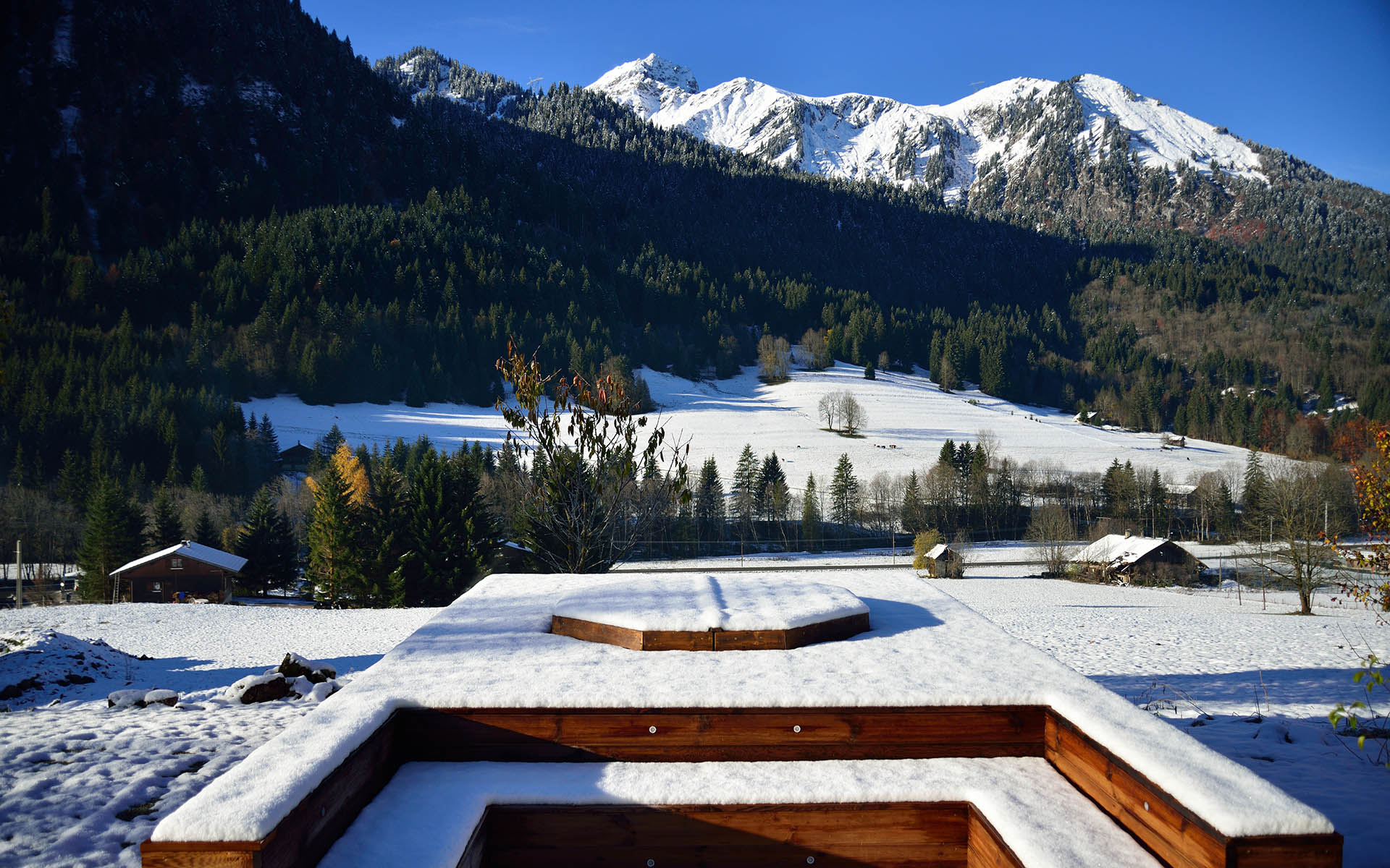 Chalet Cannelle, Chatel