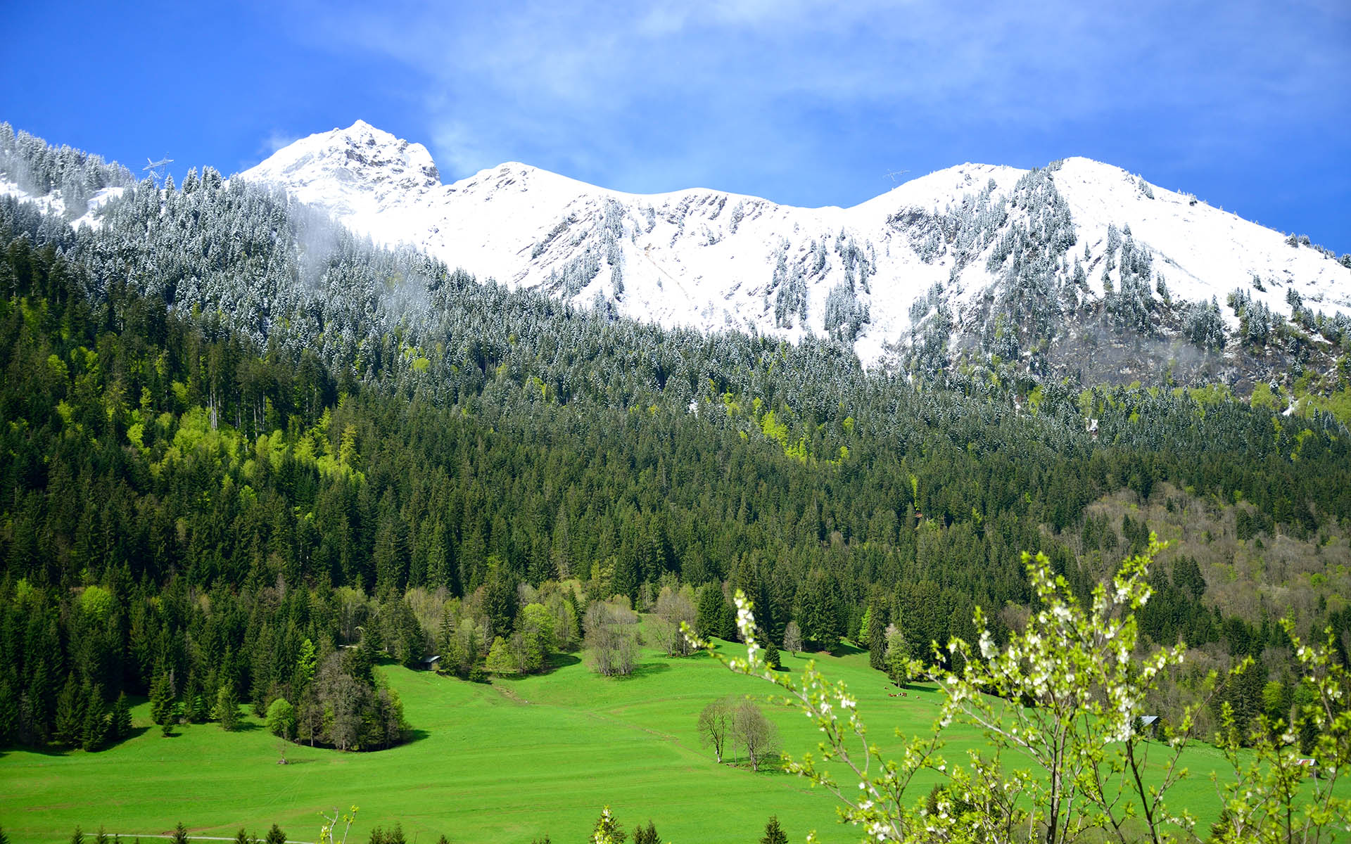 Chalet Cannelle, Chatel