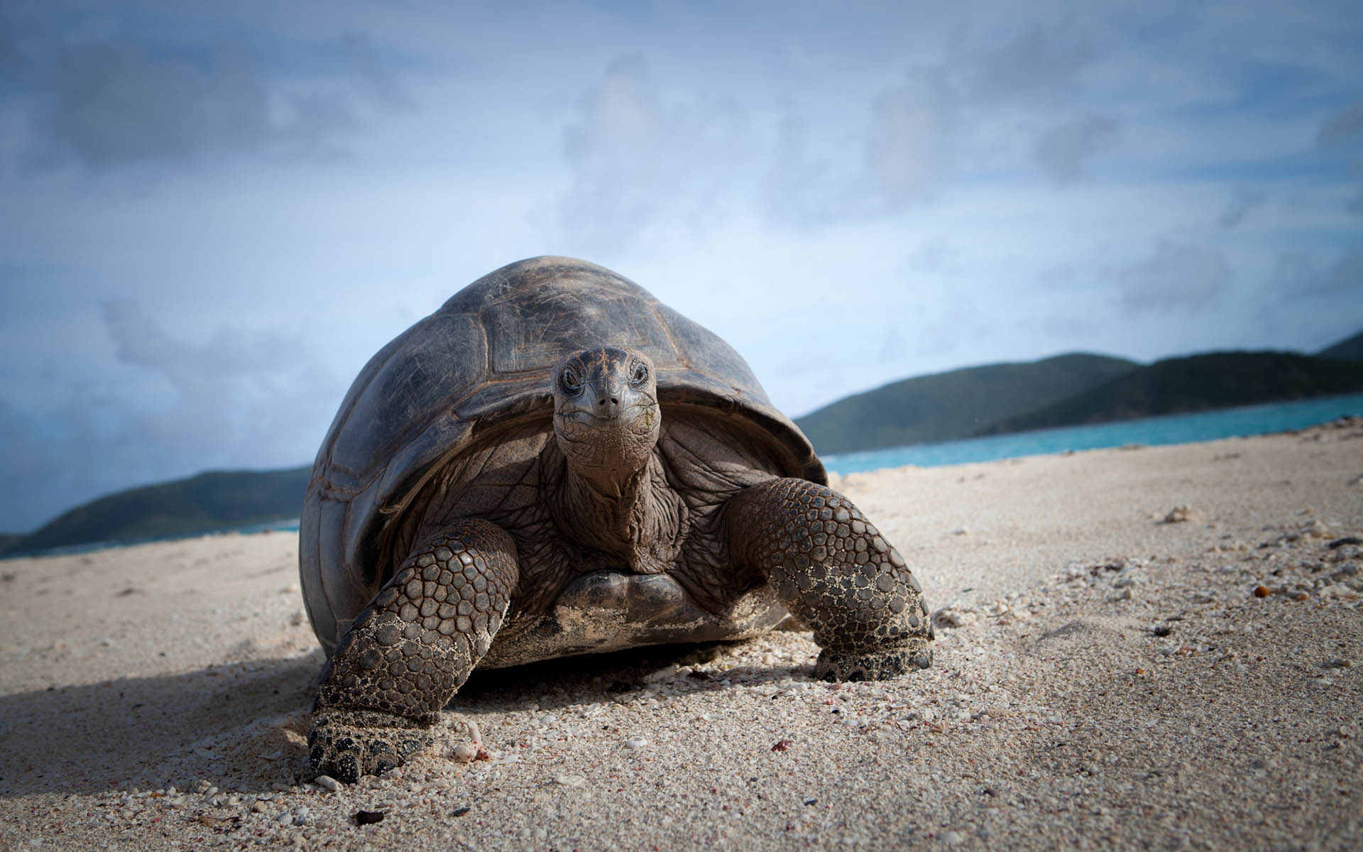 Necker Island, British Virgin Islands