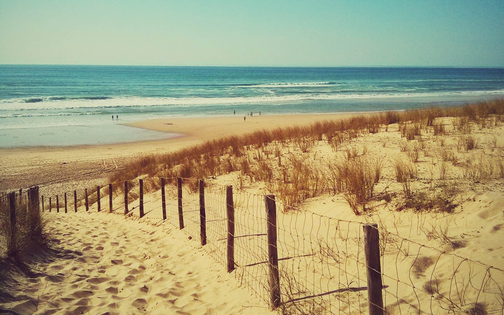 Lodge Canon, Cap Ferret