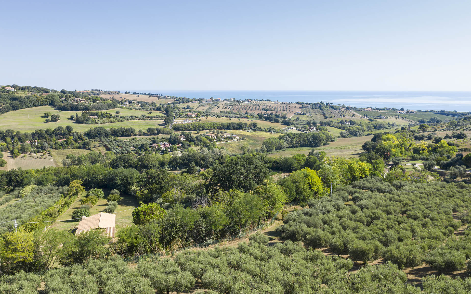 Villa Oliveto, Le Marche