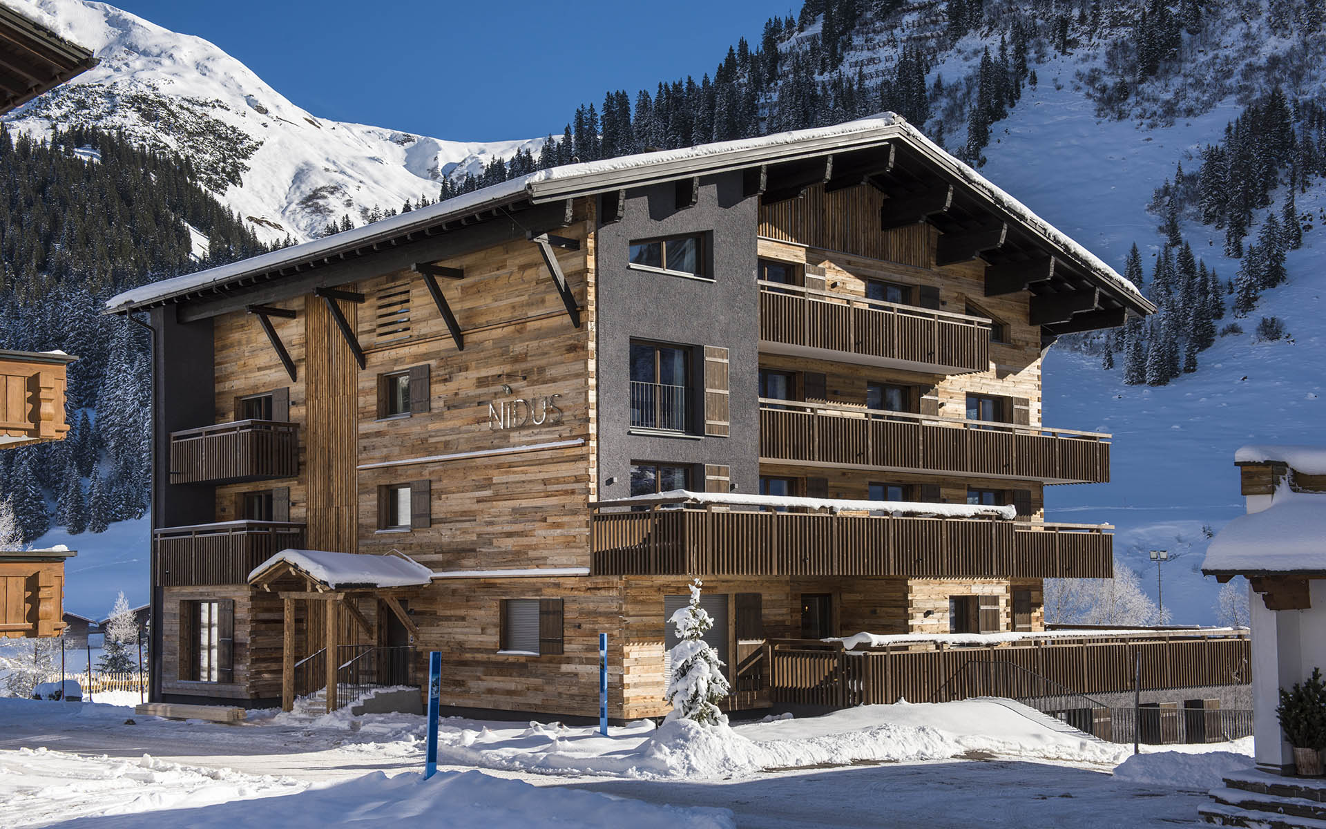 Nidus Penthouse, Lech