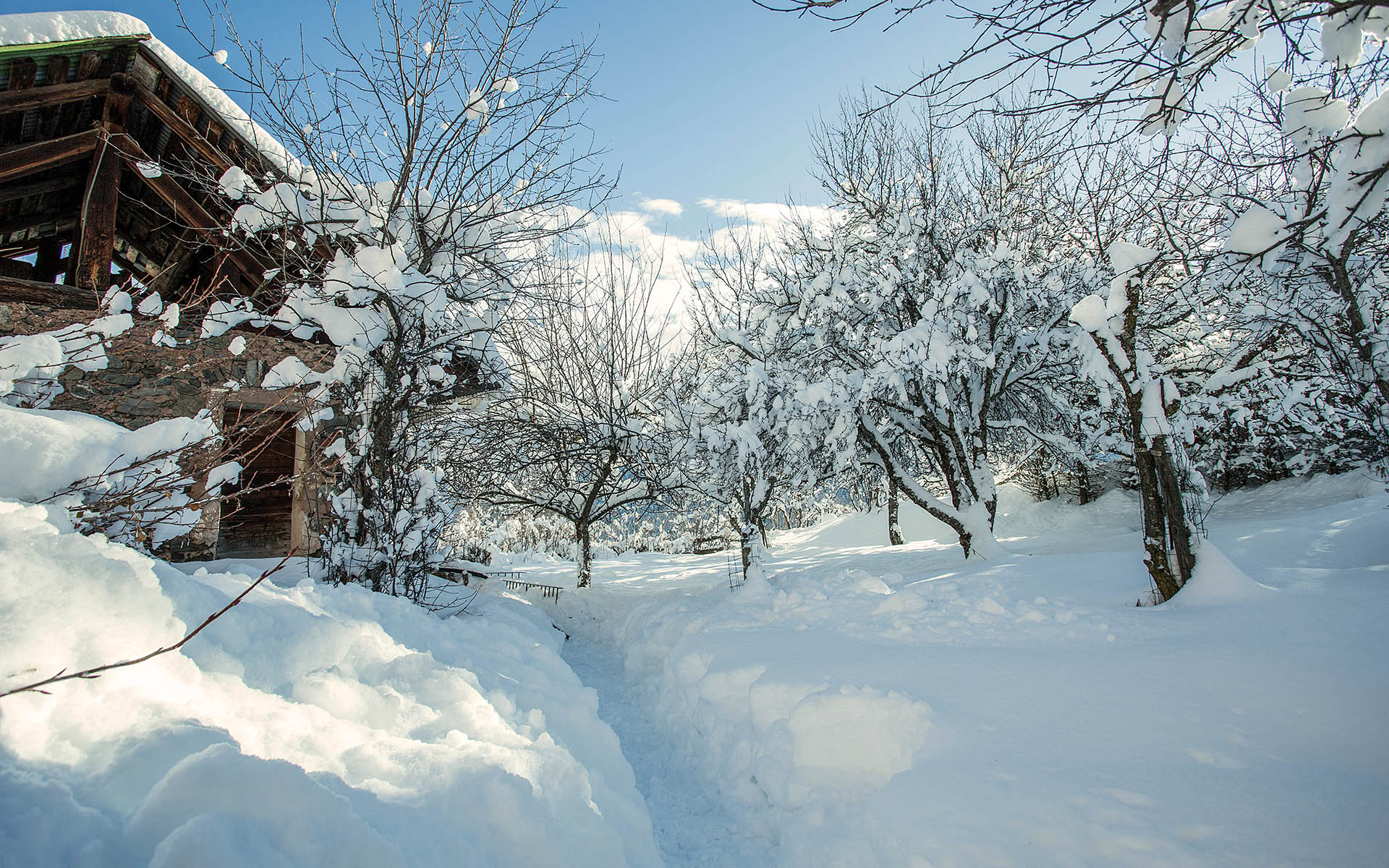 Chalet Iona, Meribel