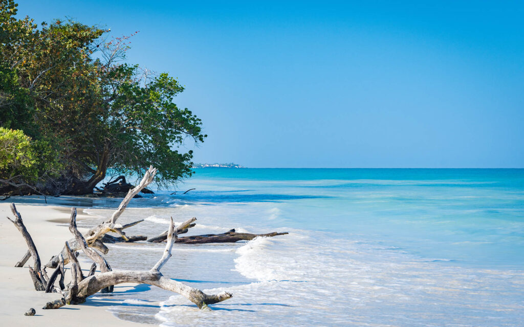 shutterstock 1114506272 Jamaica