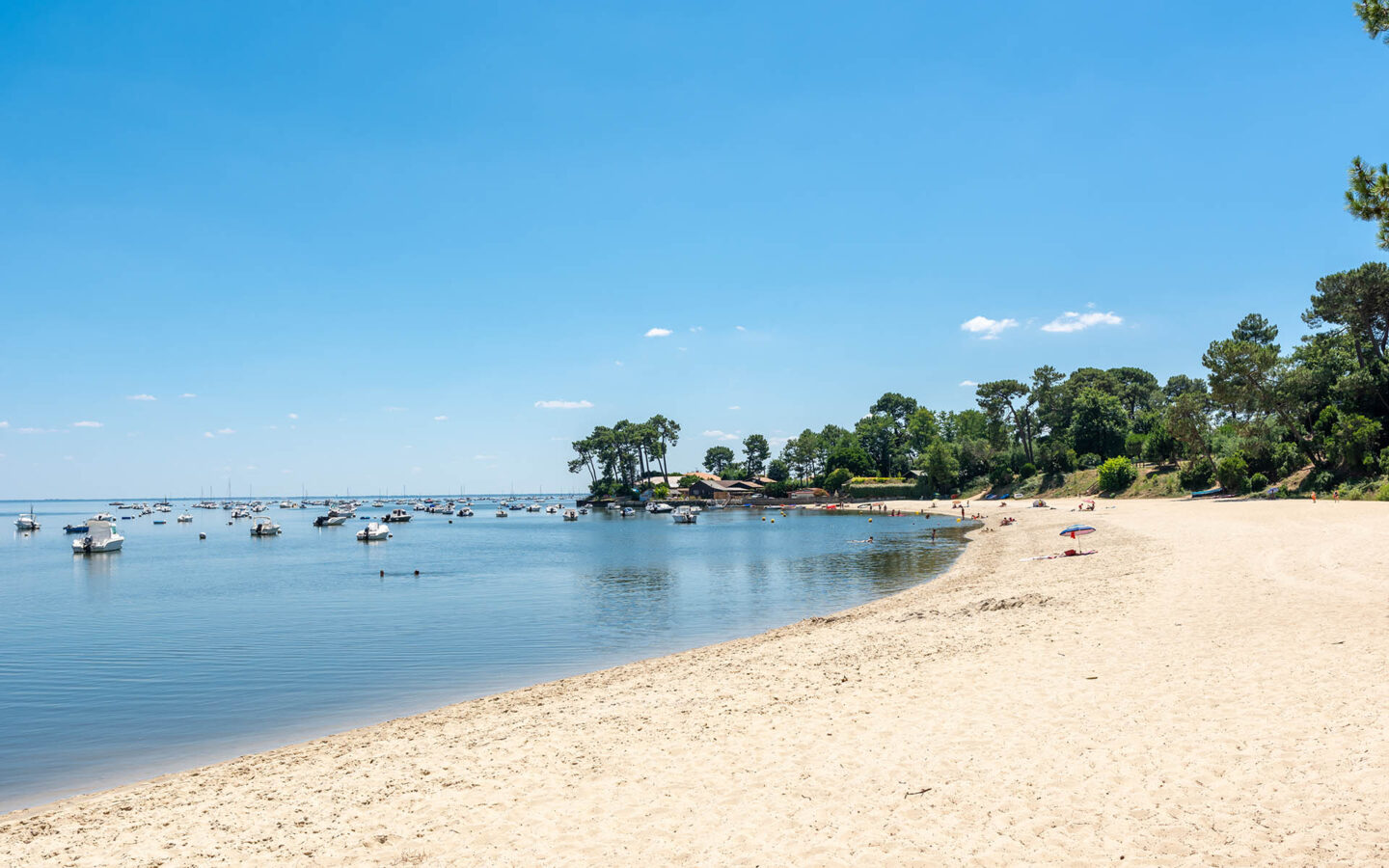 Luxury Villas in Cap Ferret, France