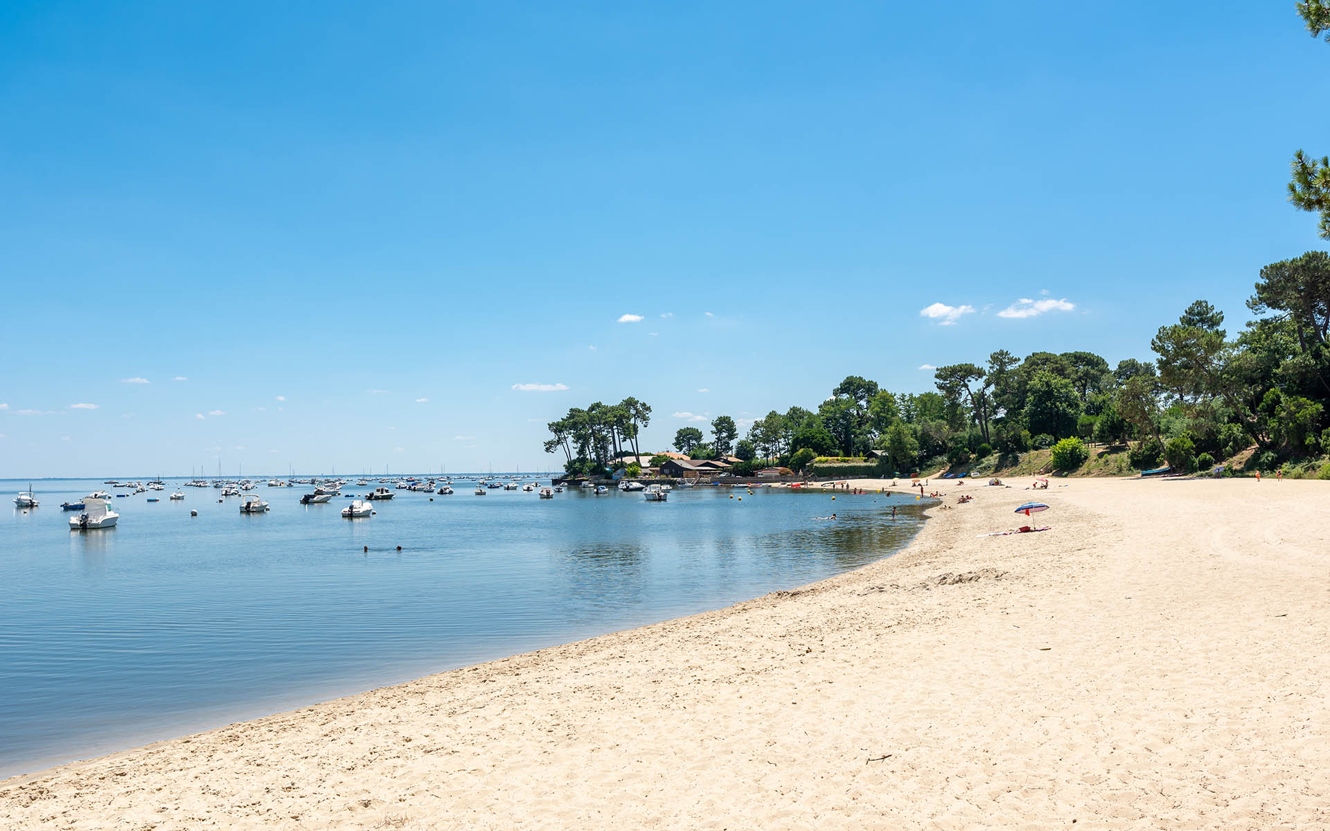 Shutterstock 1144459232 Cap Ferret