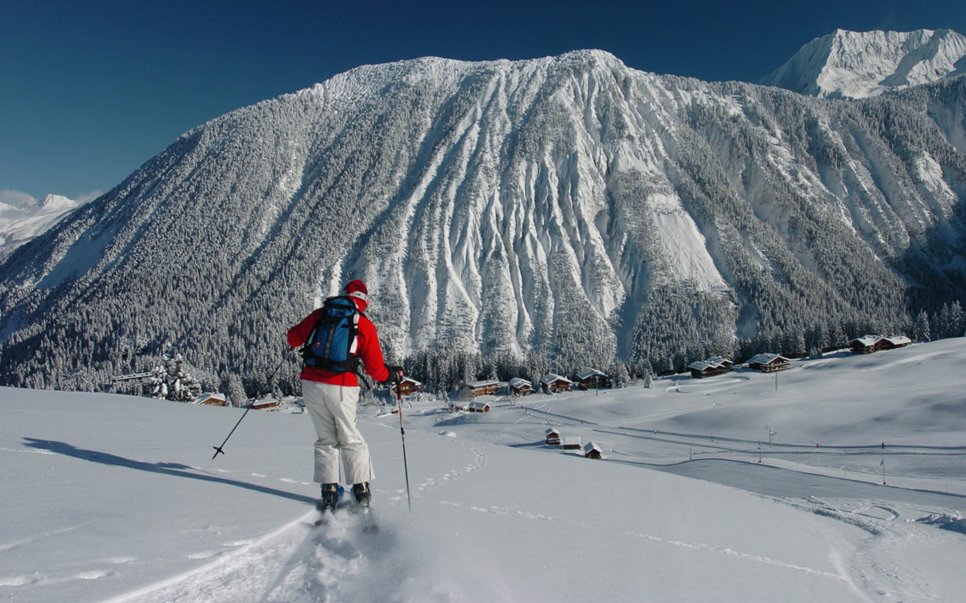 Chalet Aster View