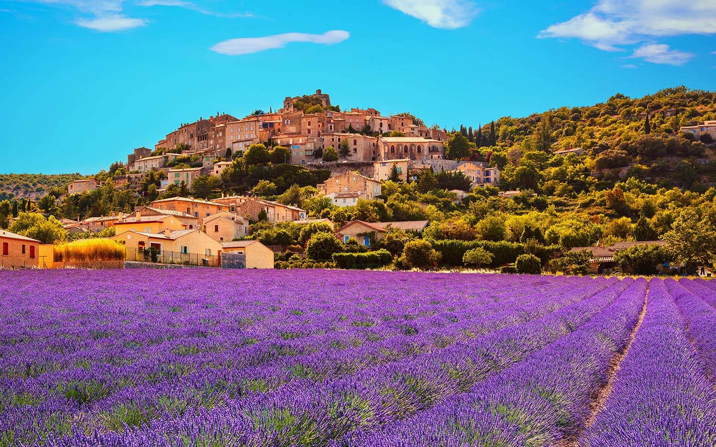 Luxury Villas in Provence, France