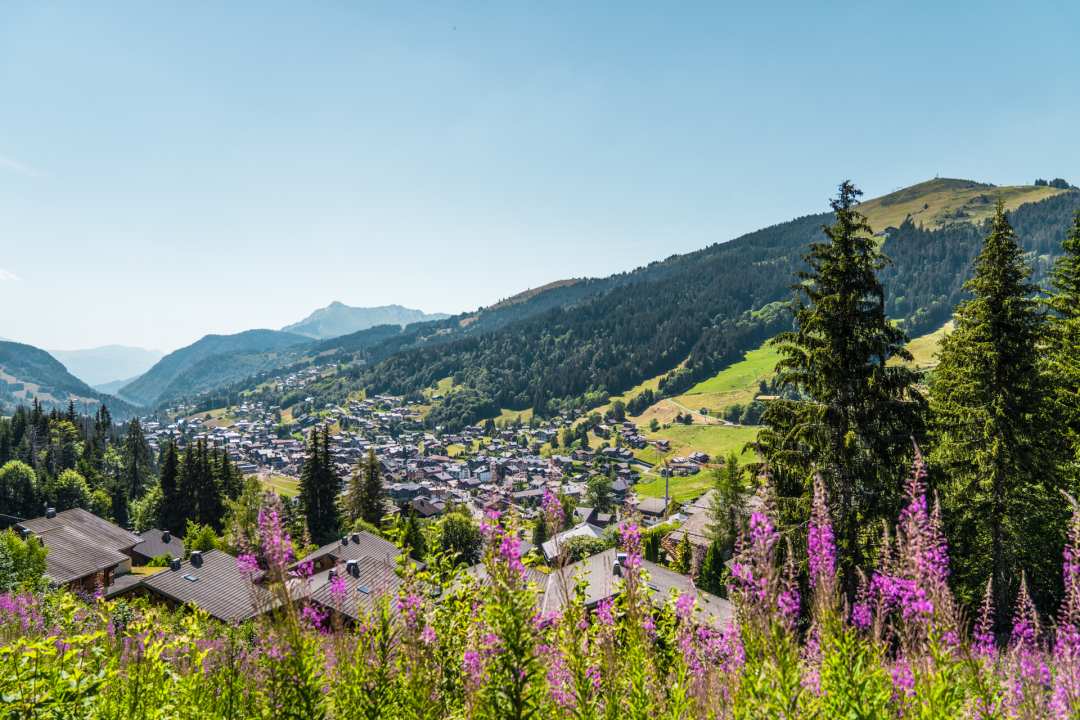 Article Best Alpine Resorts to Visit in Summer