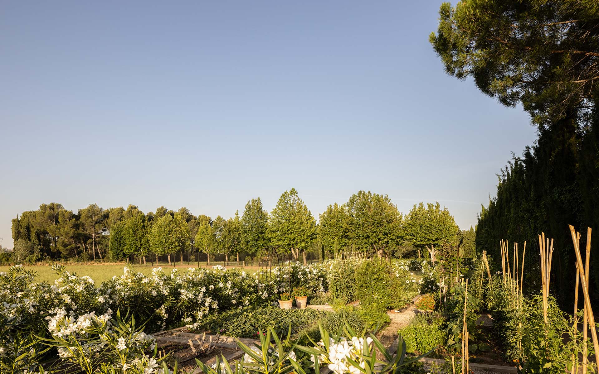 Le Mas de Chabran, Provence