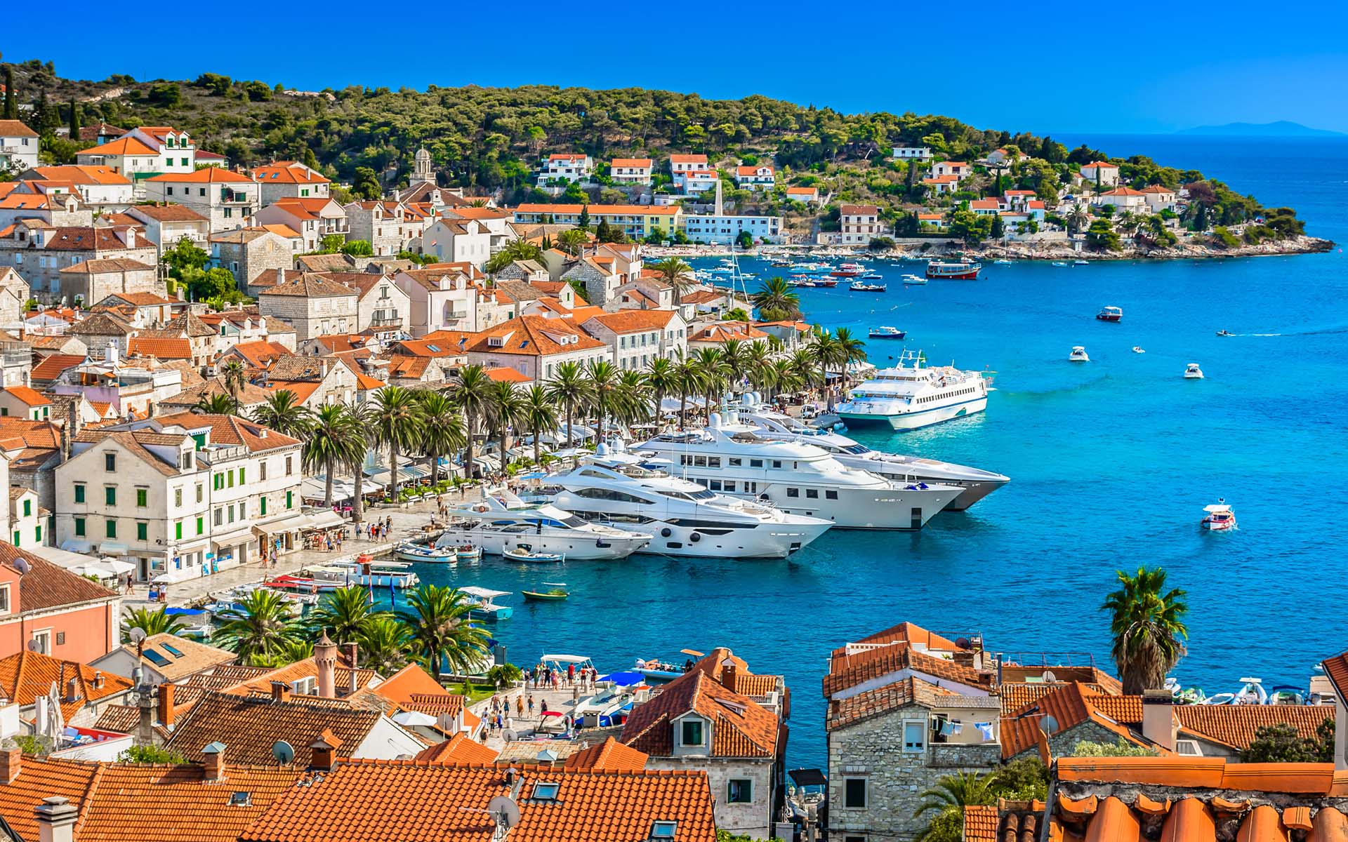 Luxury Villas in Hvar, Croatia