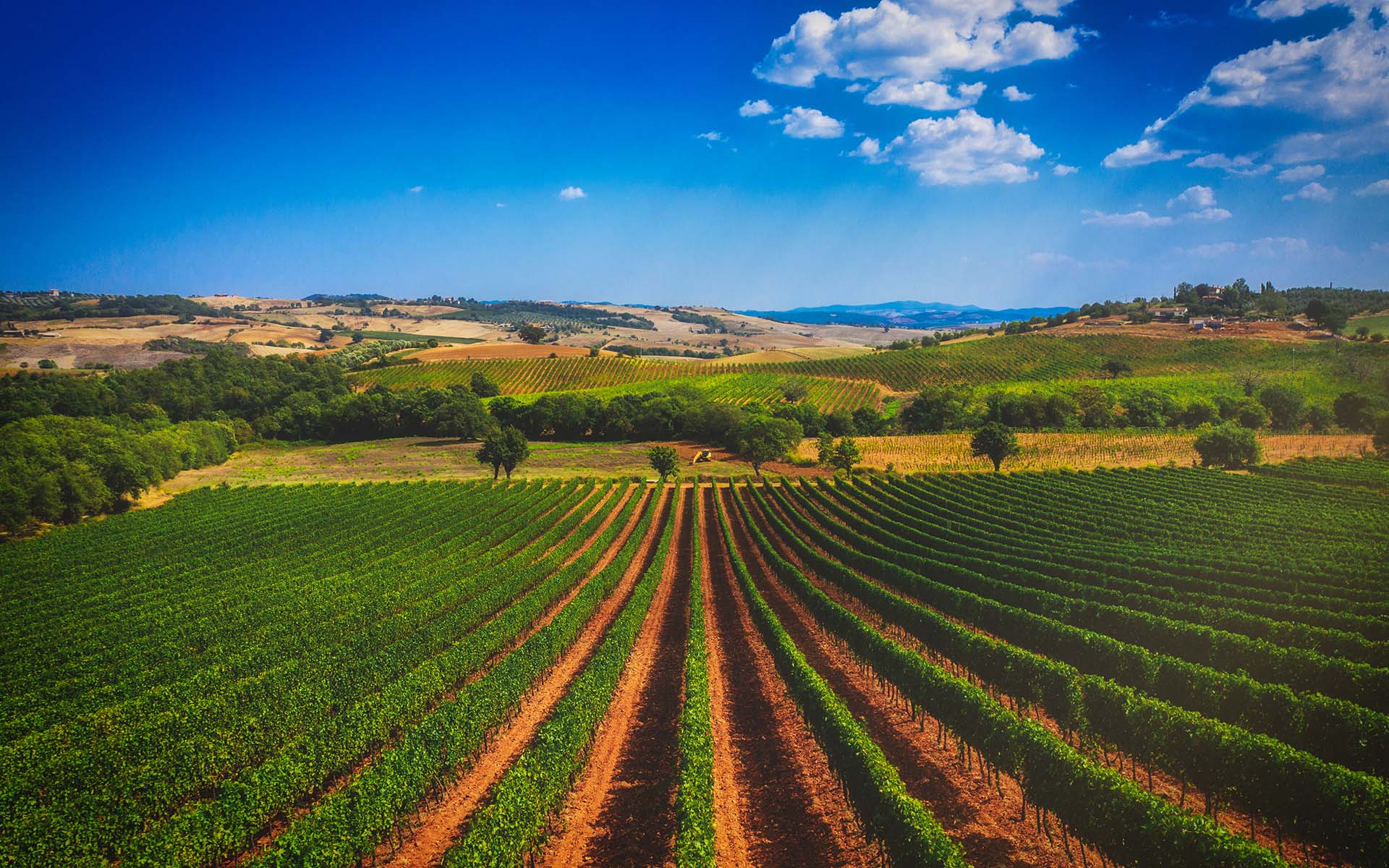 Argentaia Estate, Tuscany