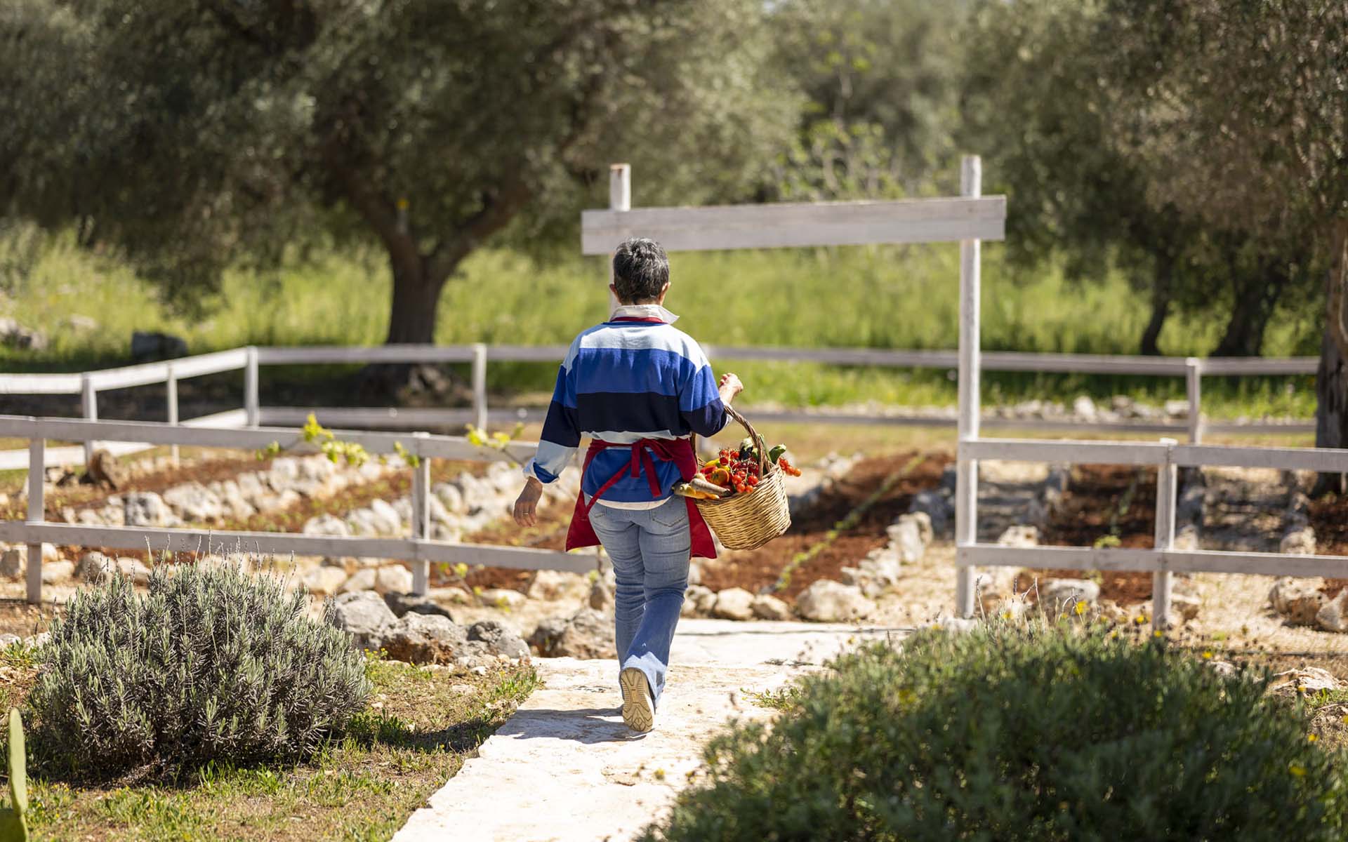 Ostuni Estate, Puglia