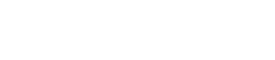 White Storm Logo