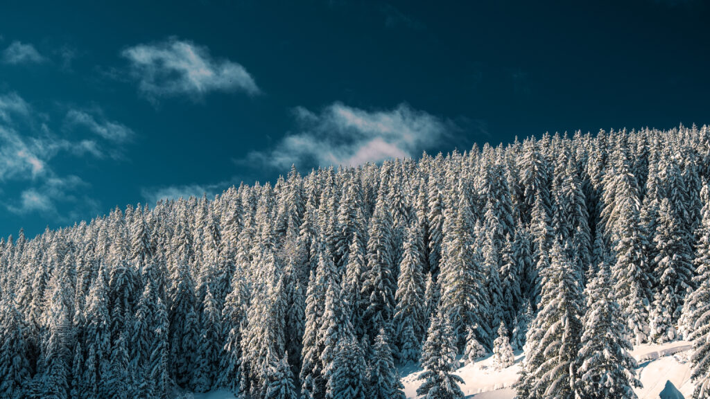 20241224 daily paysages hiver courchevel moriond cc alexis brot expinf 002